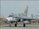 443rd Tactical Fighter Wing (443聯隊)1st Fighter Squadron : Tainan Air Force Base flying F-CK-1A